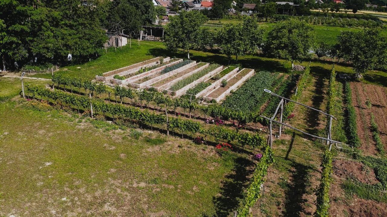 Sobe Kod Baje - Baranjska Kuca Karanac Exterior foto